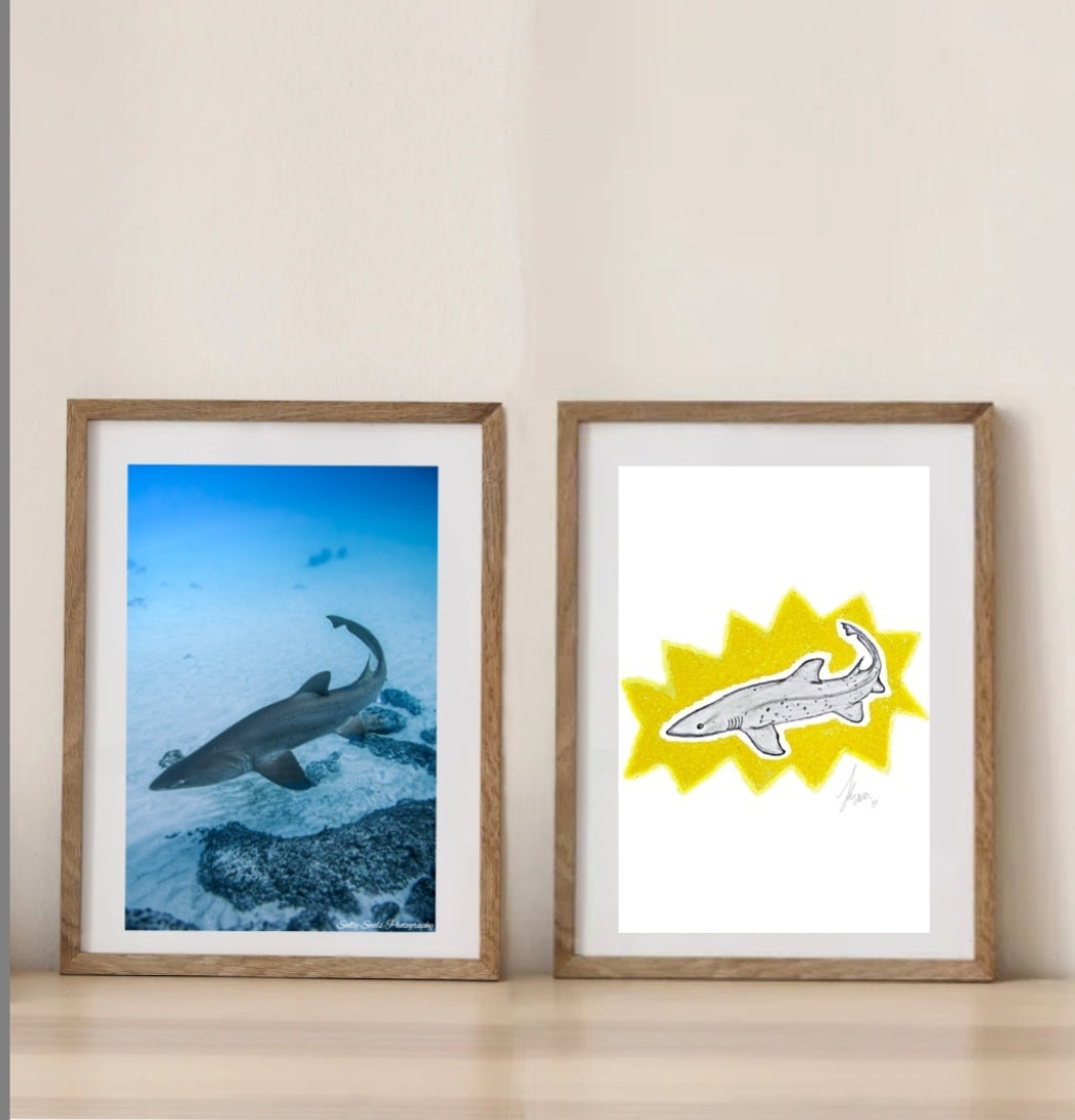 Shark Week Art Prints