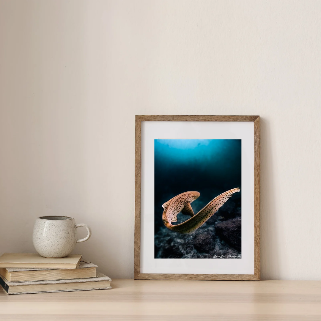 Shark Week Art Prints