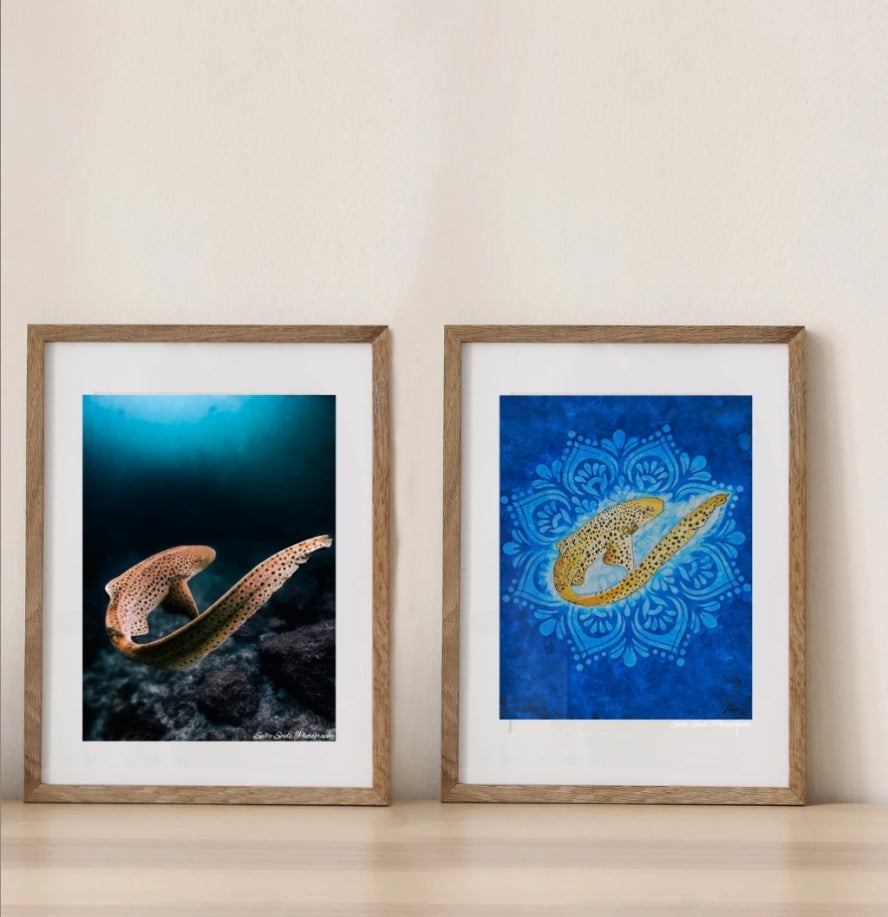 Shark Week Art Prints